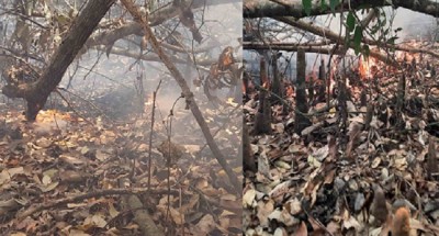 সুন্দরবনের দাসের ভারানি এলাকায় আবারো আগুন